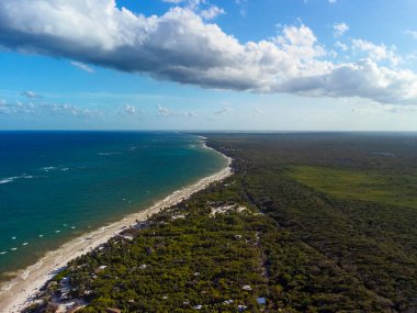 Tulum muhteşem orman ormanı ve Karayip deniz manzarası, insansız hava aracı, Meksika