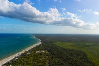 Tulum muhteşem orman ormanı ve Karayip deniz manzarası, insansız hava aracı, Meksika