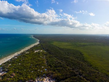Tulum muhteşem orman ormanı ve Karayip deniz manzarası, insansız hava aracı, Meksika