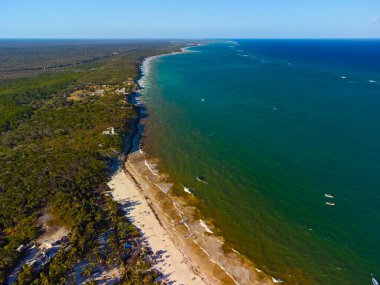 Tulum muhteşem orman ormanı ve Karayip deniz manzarası, insansız hava aracı, Meksika