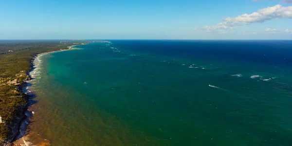 าไม และว วทะเลแคร บเบ ดรอน — ภาพถ่ายสต็อก