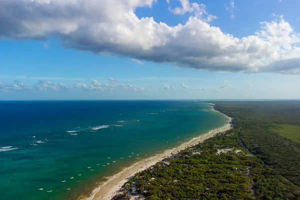 Tulum muhteşem orman ormanı ve Karayip deniz manzarası, insansız hava aracı, Meksika