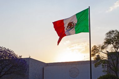 MEXICO ŞEHRİ, MEXICO - 12 Mart 2022: Aztek Maya takvimi Antropoloji Müzesi 'nde (Müze Nacional de Antropologa)