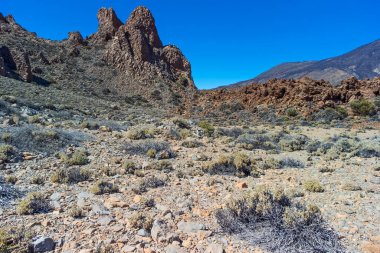 Mountain Teide Ulusal Parkı Tenerife. Kanarya Adaları. 