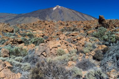 Mountain Teide Ulusal Parkı Tenerife. Kanarya Adaları. İspanya 'da volkan kraterinin zirvesi. 