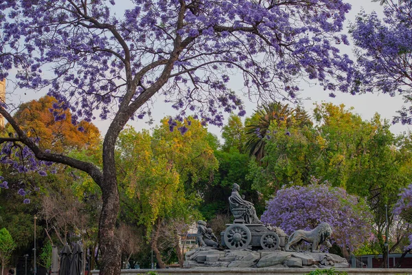 Fontaine Cibeles Sur Place Madrid Colonia Roma Mexico Une Copie — Photo