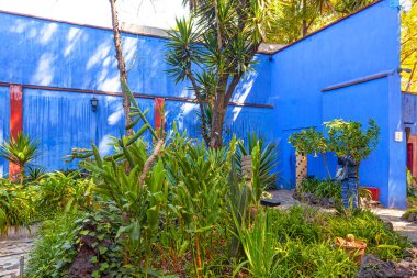 COYOACAN, MEXICO - 24 Mart 2022: Blue House und avlu (La Casa Azul), Meksikalı sanatçı Frida Kahlo 'nun yaşamı ve çalışmalarına adanmış tarihi ev ve sanat müzesi