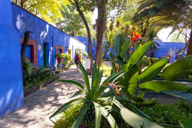 Mavi Saray ve Avlu (La Casa Azul), Meksikalı sanatçı Frida Kahlo 'nun yaşamı ve çalışmalarına adanmış tarihi ev ve sanat müzesi