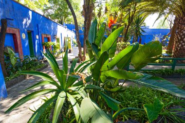 Mavi Saray ve Avlu (La Casa Azul), Meksikalı sanatçı Frida Kahlo 'nun yaşamı ve çalışmalarına adanmış tarihi ev ve sanat müzesi