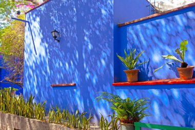 Mavi Saray ve Avlu (La Casa Azul), Meksikalı sanatçı Frida Kahlo 'nun yaşamı ve çalışmalarına adanmış tarihi ev ve sanat müzesi