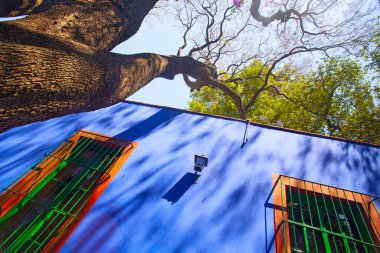 COYOACAN, MEXICO - 24 Mart 2022: Blue House und avlu (La Casa Azul), Meksikalı sanatçı Frida Kahlo 'nun yaşamı ve çalışmalarına adanmış tarihi ev ve sanat müzesi