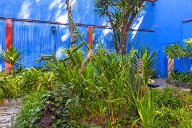 Mavi Saray ve Avlu (La Casa Azul), Meksikalı sanatçı Frida Kahlo 'nun yaşamı ve çalışmalarına adanmış tarihi ev ve sanat müzesi