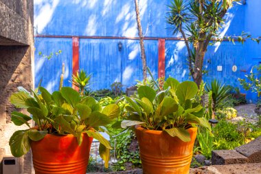 Mavi Saray ve Avlu (La Casa Azul), Meksikalı sanatçı Frida Kahlo 'nun yaşamı ve çalışmalarına adanmış tarihi ev ve sanat müzesi