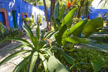 Mavi Saray ve Avlu (La Casa Azul), Meksikalı sanatçı Frida Kahlo 'nun yaşamı ve çalışmalarına adanmış tarihi ev ve sanat müzesi