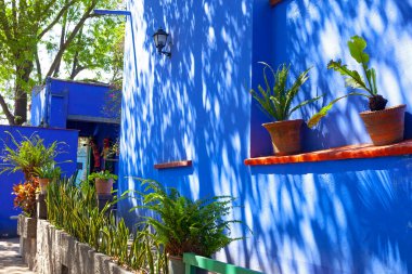 Blue House of Frida Kahlo Müzesi, Meksika 