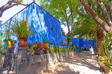 Blue House of Frida Kahlo Müzesi, Meksika 