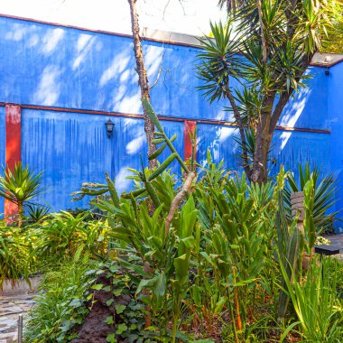 COYOACAN, MEXICO - 24 Mart 2022: Blue House und avlu (La Casa Azul), Meksikalı sanatçı Frida Kahlo 'nun yaşamı ve çalışmalarına adanmış tarihi ev ve sanat müzesi
