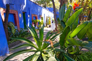 COYOACAN, MEXICO - MARCH 24, 2022: Blue House und courtyard of (La Casa Azul), historic house and art museum dedicated to the life and work of Mexican artist Frida Kahlo