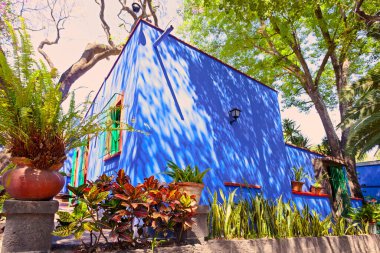 COYOACAN, MEXICO - 24 Mart 2022: Blue House und avlu (La Casa Azul), Meksikalı sanatçı Frida Kahlo 'nun yaşamı ve çalışmalarına adanmış tarihi ev ve sanat müzesi