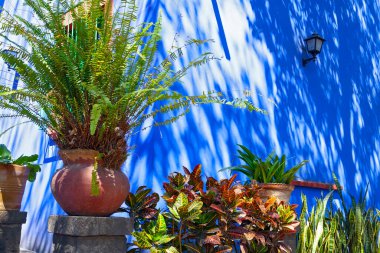 COYOACAN, MEXICO - 24 Mart 2022: Blue House und avlu (La Casa Azul), Meksikalı sanatçı Frida Kahlo 'nun yaşamı ve çalışmalarına adanmış tarihi ev ve sanat müzesi