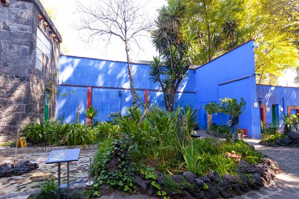 Coyoacan Mexico Marca 2022 Błękitny Dom Dziedziniec Casa Azul Zabytkowy — Zdjęcie stockowe