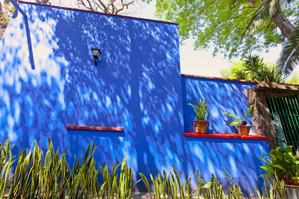 Blue House Und Courtyard Casa Azul Historic House Art Museum — Fotografia de Stock