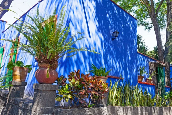 Blue House Und Courtyard Casa Azul Historic House Art Museum — Stockfoto