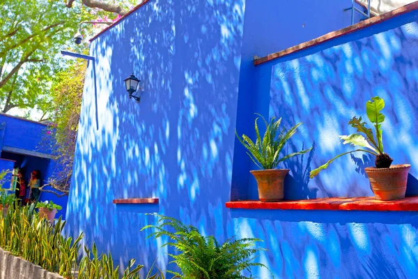 Garden Blue House Frida Kahlo Museum Mexico — Stock Fotó