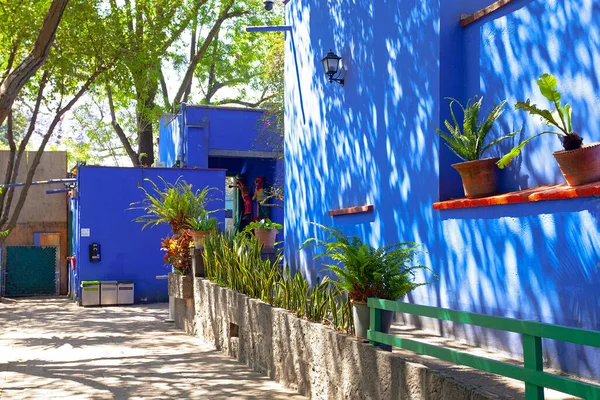 Garden in Blue House of Frida Kahlo museum, Mexico