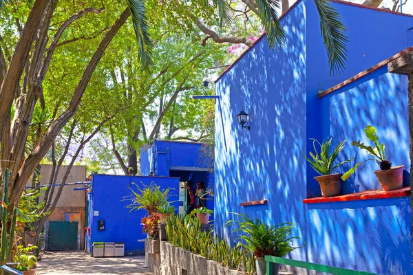Garden in Blue House of Frida Kahlo museum, Mexico