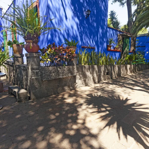 Coyoacan Mexico March 2022 Blue House Und Courtyard Casa Azul — Stock Fotó