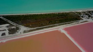 Pembe göller ve okyanus, Las Coloradas, Meksika 'da doğa.