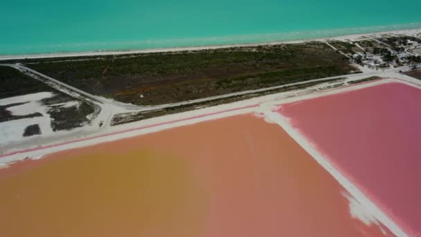 Pink Lake Ocean Nature Las Coladas Mexico — 图库视频影像