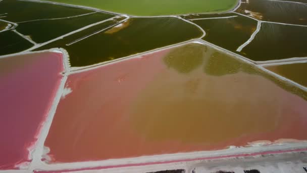 Danau Merah Muda Dan Laut Alam Las Coloradas Meksiko — Stok Video