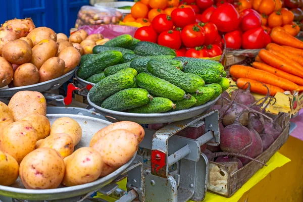 Fresh Summer Vegetables Market — ストック写真