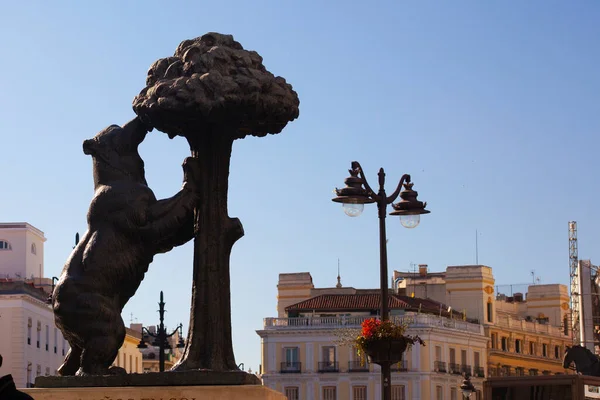 Bear Strawberry Tree Statue Symbol Madrid Puerta Del Sol Madrid — Photo