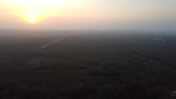 Chichen Itza Pyramids Forest Early Morning Sunrise Time — 图库视频影像