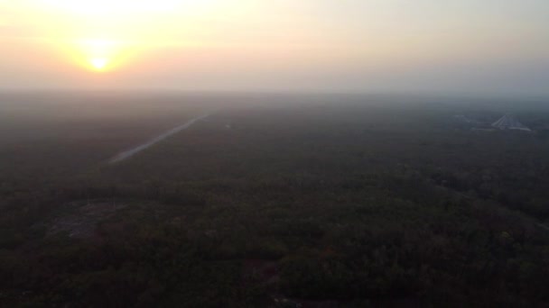 Пирамиды Чичен Ица Лес Рано Утром Рассвете — стоковое видео