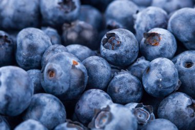 Fresh juicy blueberriy berries background