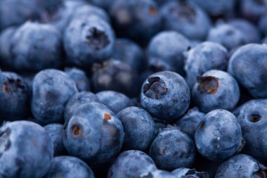 Fresh juicy blueberriy berries background