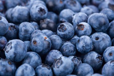 Fresh juicy blueberriy berries background