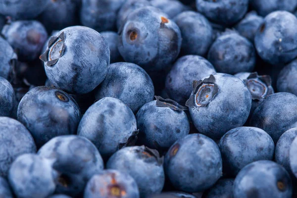 Fresh Juicy Blueberriy Berries Background — Stock fotografie