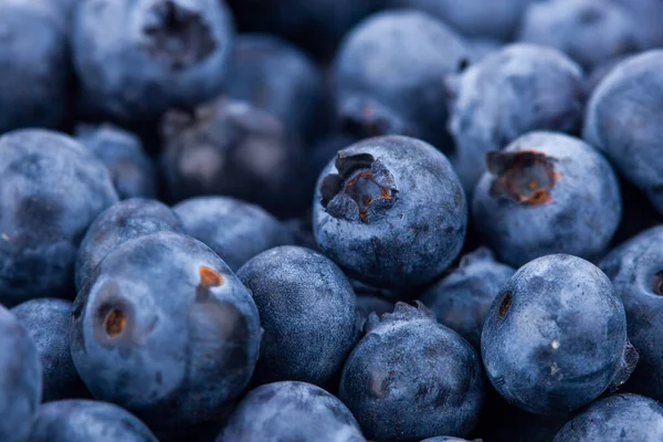 Fresh Juicy Blueberriy Berries Background — Stok Foto