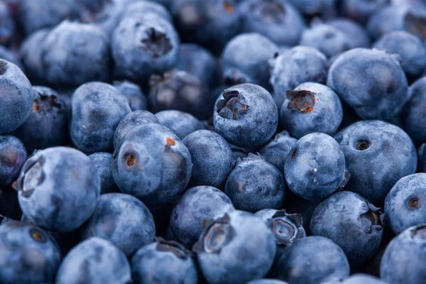 Fresh Juicy Blueberriy Berries Background — 스톡 사진
