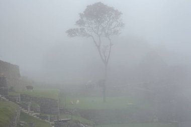 Machu Picchu ancient city view from Huchu'y Picchu in cloudy weather