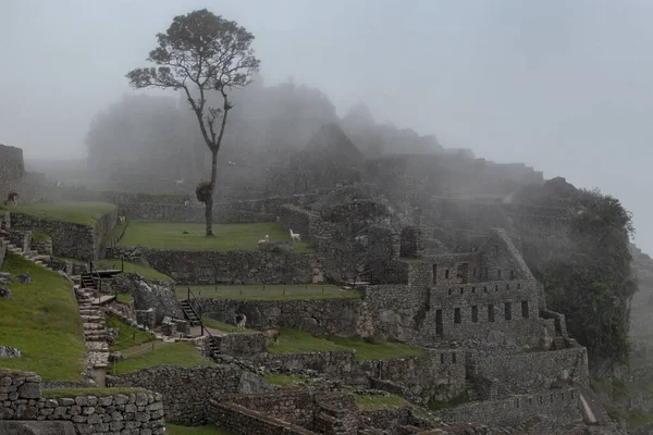 Machu Picchu Ancient City View Huchu Picchu Cloudy Weather — Stockfoto