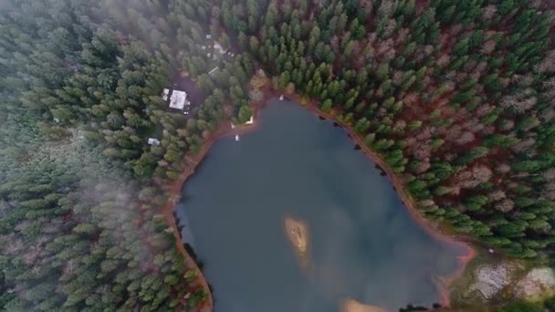 Vista Superior Del Lago Synevyr Tomada Con Quadcopter Cárpatos Ucrania — Vídeo de stock