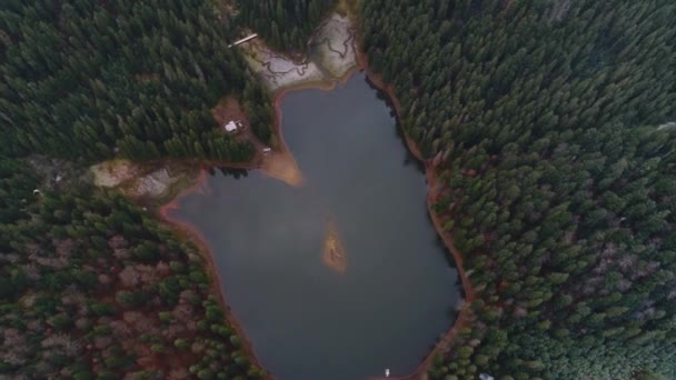 Vista Superior Del Lago Synevyr Tomada Con Quadcopter Cárpatos Ucrania — Vídeo de stock