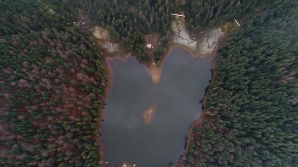 Tampilan Atas Danau Synevyr Diambil Dengan Quadcopter Carpathians Ukraina — Stok Video