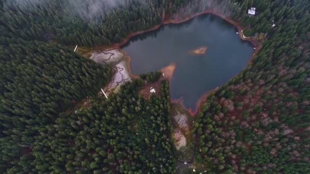 Vista Superior Del Lago Synevyr Tomada Con Quadcopter Cárpatos Ucrania — Vídeos de Stock